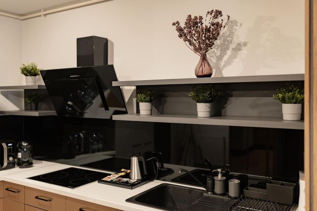 Nest Inn Magic Apartment Κλουζ-Ναπόκα Εξωτερικό φωτογραφία