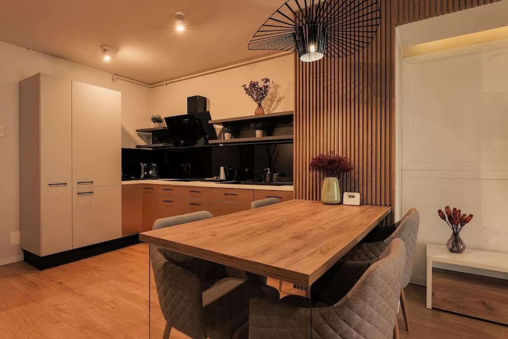 Nest Inn Magic Apartment Κλουζ-Ναπόκα Εξωτερικό φωτογραφία